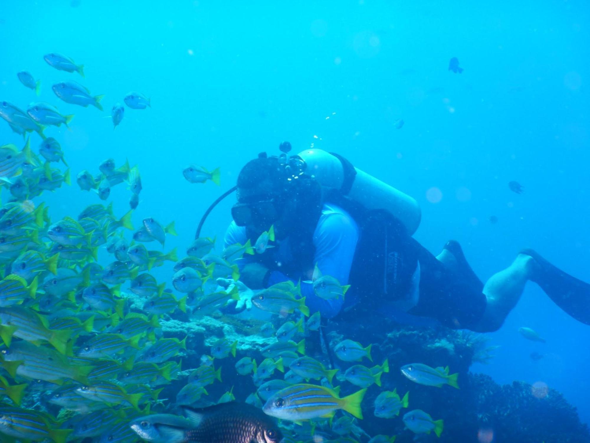 Raja Ampat Blue Sea Villa Besir Eksteriør bilde